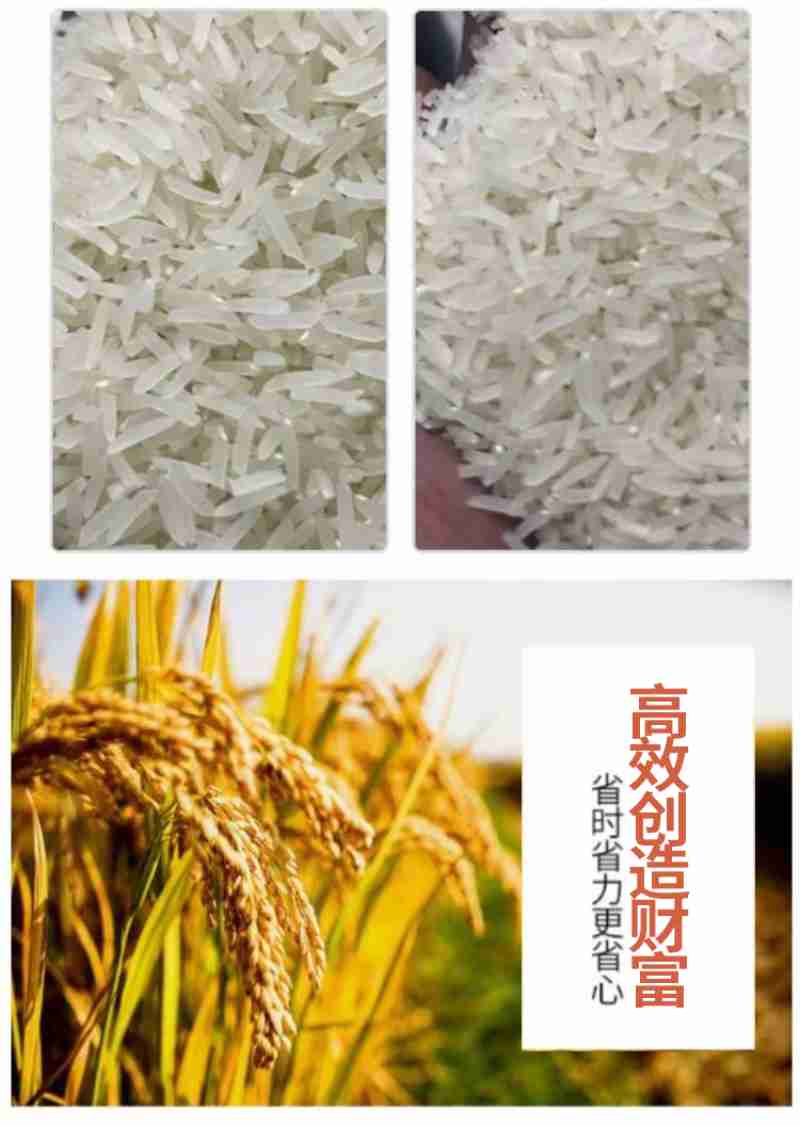 近来每个周末,最新编排的《哪吒闹海》精选片段在漳州木偶艺术表演馆上演。施辰静 摄