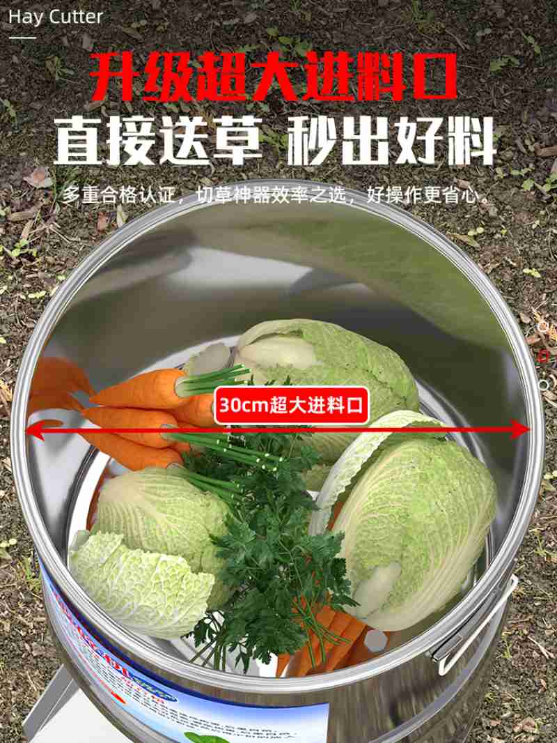 麦秀林场自然教育科普馆一角。本版图片除署名外均由记者 才贡加 张多钧 摄